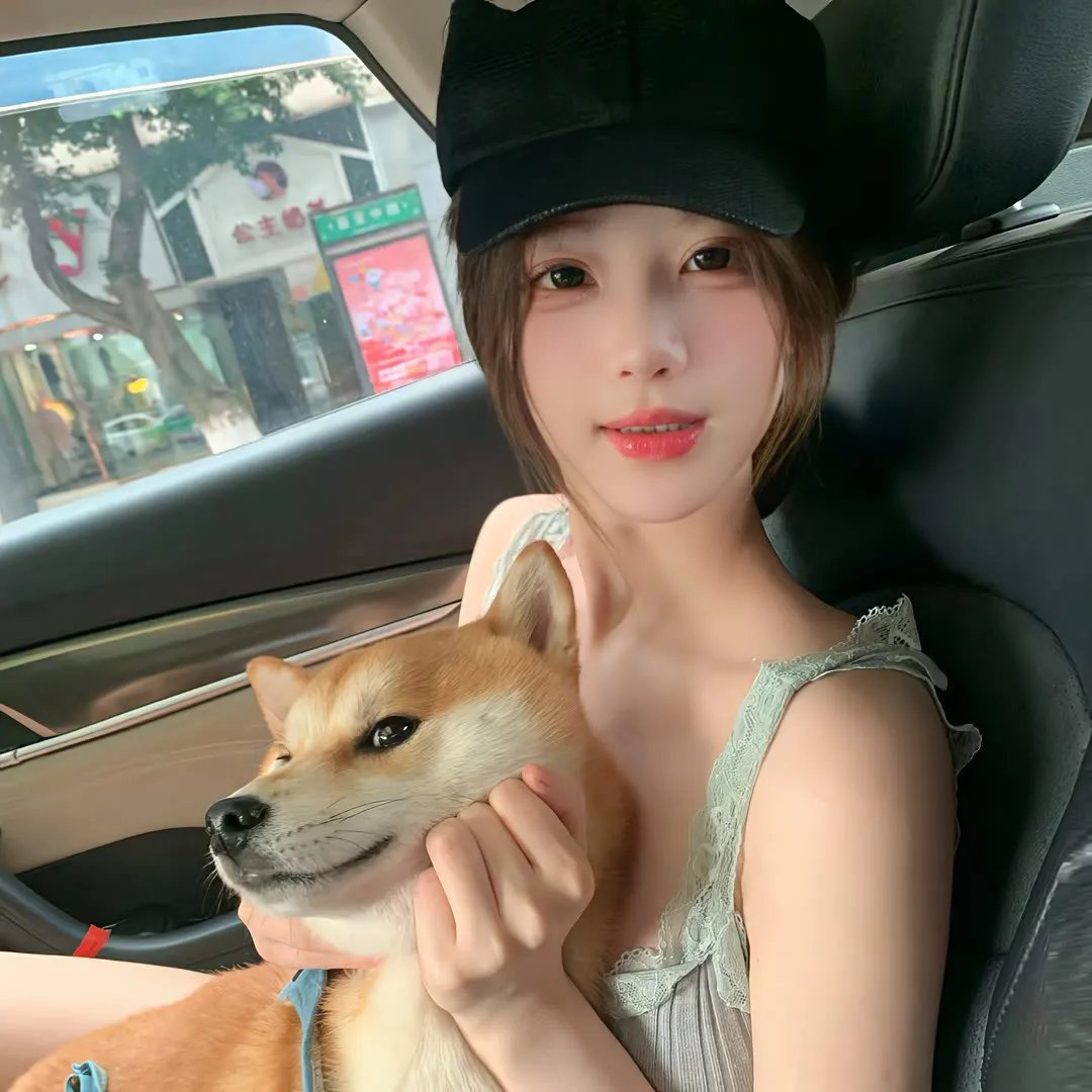 一只小蜘蛛